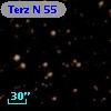 Terz N   55