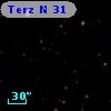 Terz N   31