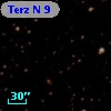 Terz N    9