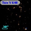 Terz V  640