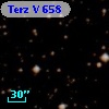 Terz V  658