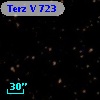 Terz V  723