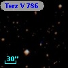 Terz V  786