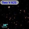 Terz V  825