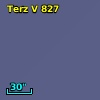 Terz V  827