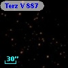 Terz V  887