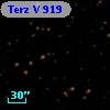 Terz V  919
