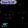 Terz N   37