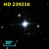 HD 239216