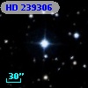 HD 239306