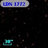 LDN 1772