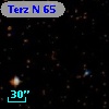 Terz N   65