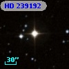 HD 239192