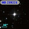 HD 239221