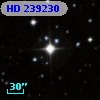 HD 239230