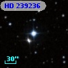 HD 239236