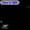 Terz V  209