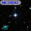 HD 239262