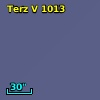 Terz V 1013
