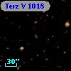 Terz V 1018