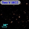 Terz V 1022