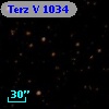 Terz V 1034