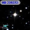 HD 239272