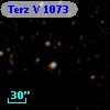 Terz V 1073