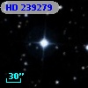 HD 239279