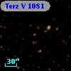 Terz V 1081