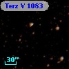 Terz V 1083