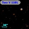 Terz V 1105