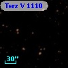 Terz V 1110