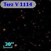 Terz V 1114