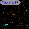 Terz V 1117