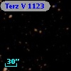 Terz V 1123