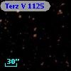 Terz V 1125