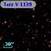 Terz V 1139