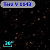 Terz V 1143