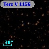 Terz V 1156