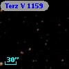 Terz V 1159