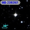 HD 239287