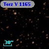 Terz V 1165