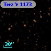 Terz V 1173
