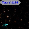 Terz V 1174
