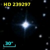 HD 239297