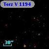 Terz V 1194