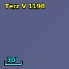 Terz V 1198