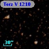 Terz V 1210