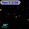 Terz V 1216